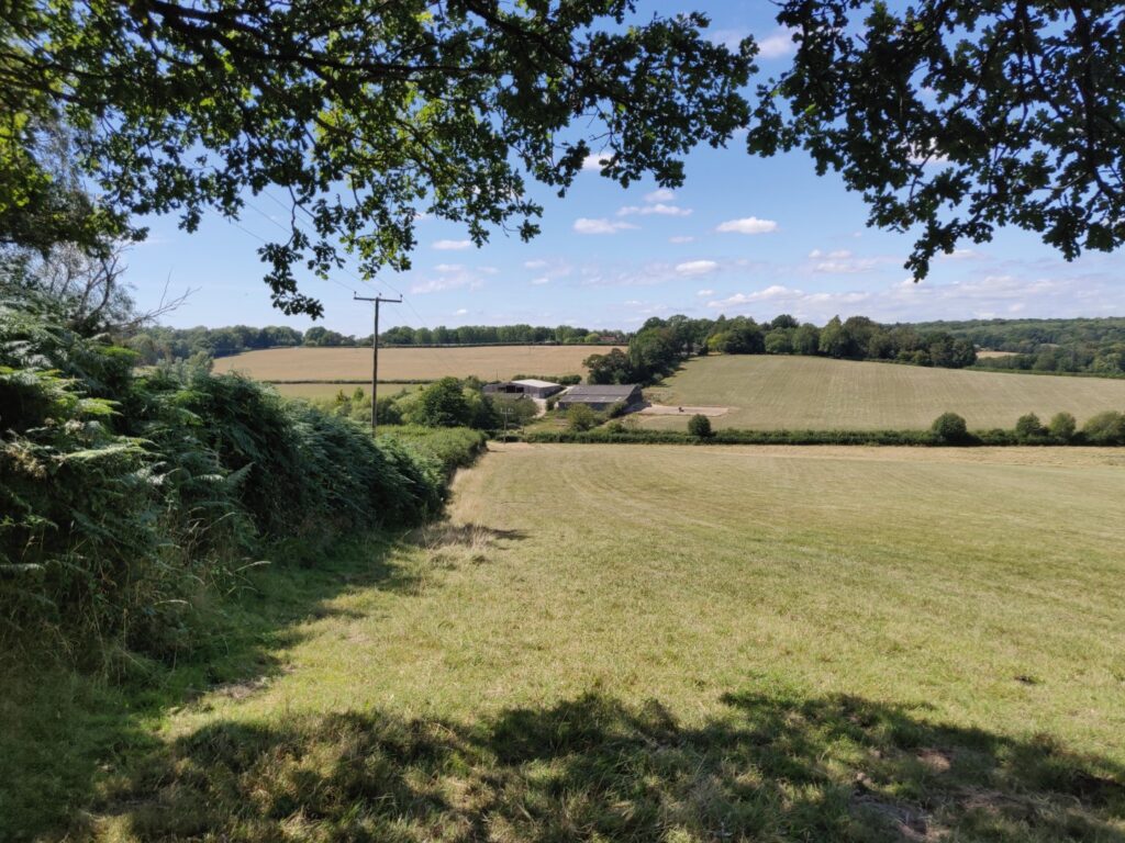 View across Owletts Farm towards the Shovelstrode valley