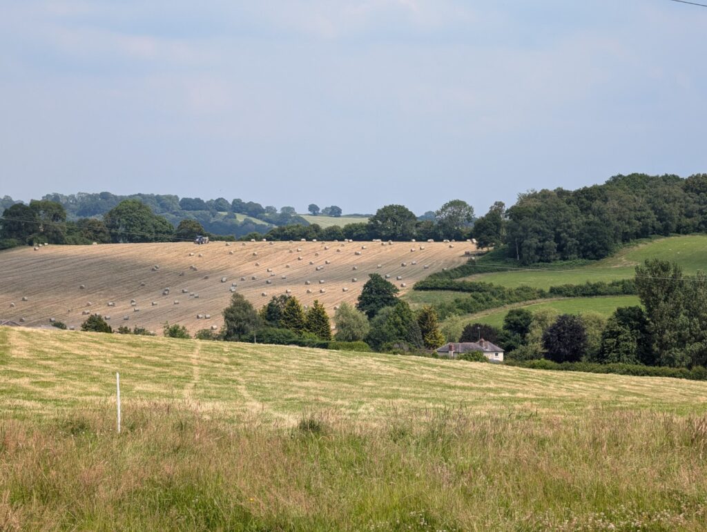 Hay-making at Owletts Farm, summer 2024
