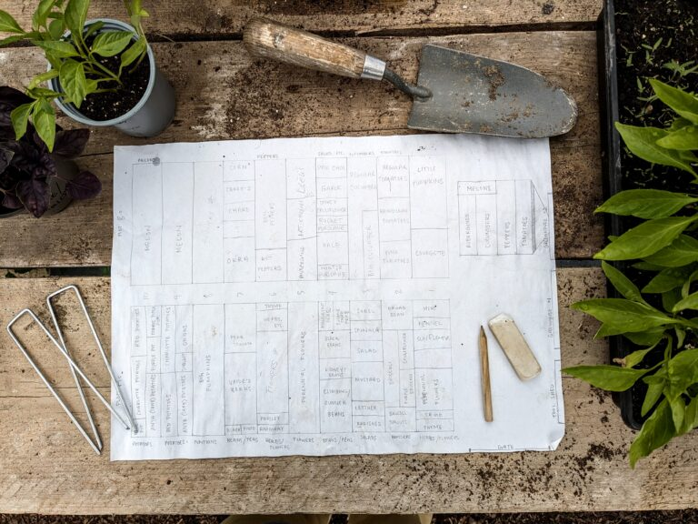 The new market garden at Owletts Farm