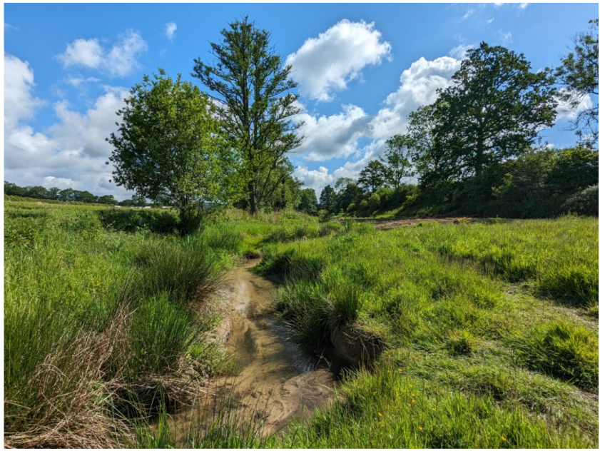 The re-wiggled stream at Owletts Farm