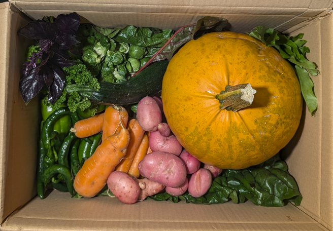 September vegetable box from Owletts Farm