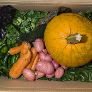 September Veg Box