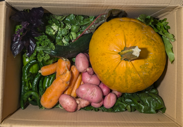 September Veg Box